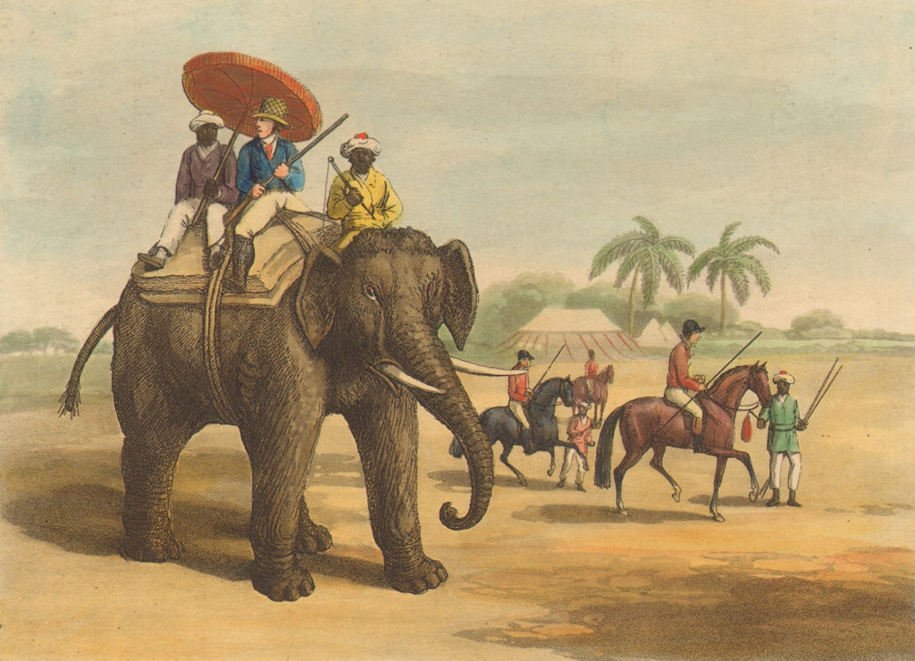 INDIA. Hog- hunters elephant horses. Tent (Field Sports- Edward Orme)  1814