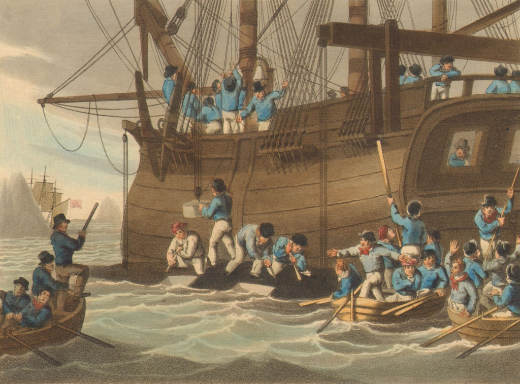 WHALING 3. Whale alongside ship. sailors cutting blubber (Orme)  1814 print