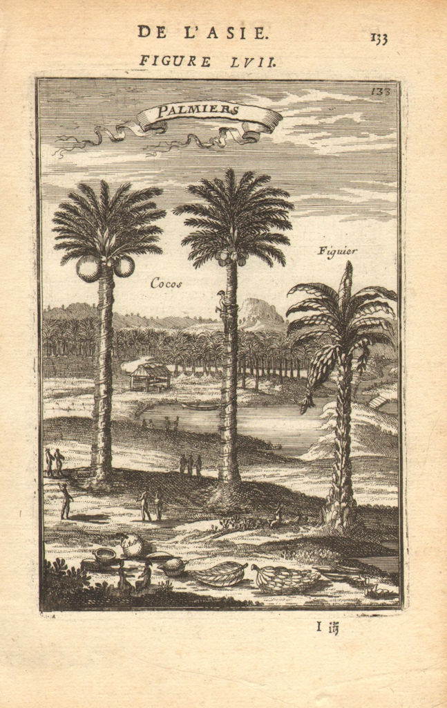 Associate Product CELEBES SULAWESI. Coconut & fig trees. East Indies'Palmiers'. MALLET 1683