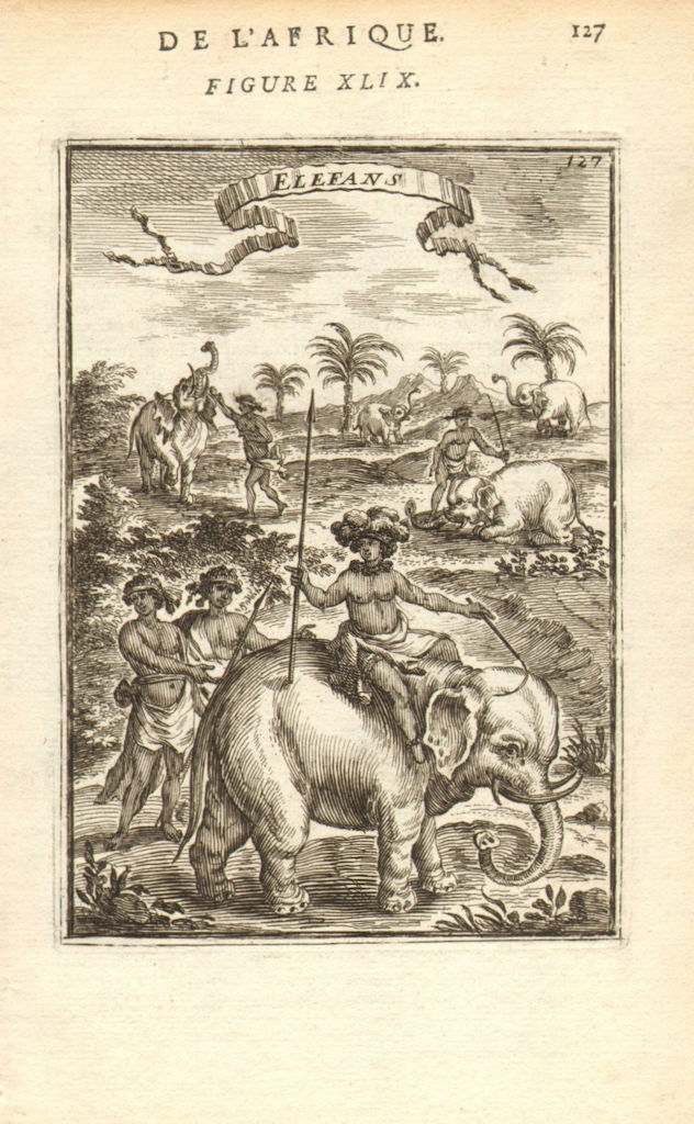 AFRICA. Natives riding African Elephants. Spears. 'Elefans. MALLET 1683 print