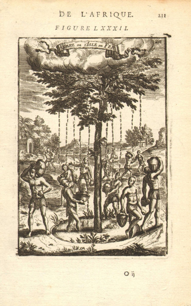 Associate Product RAIN TREE OF EL HIERRO. Garoé. 'Arbre de l'Isle de Fer'. Canarias. MALLET 1683