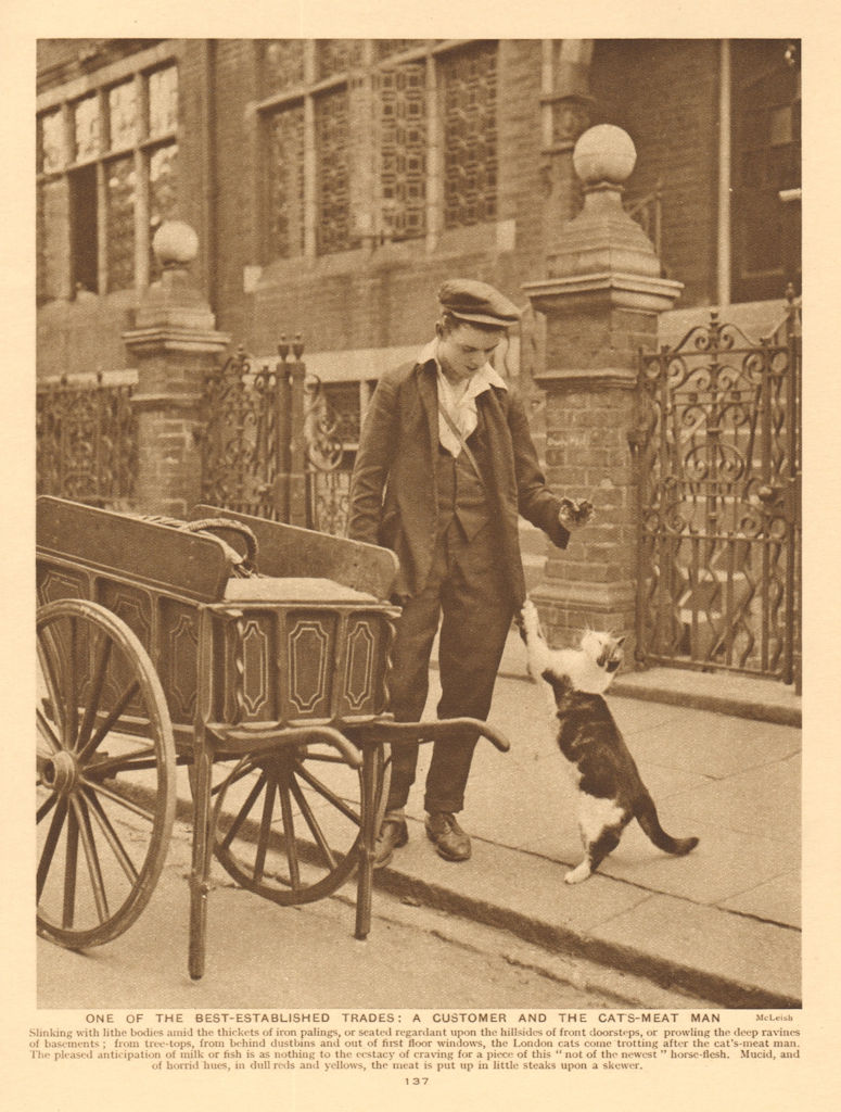 Door-to-door cat food salesman & cart. Horse meat 1926 old vintage print