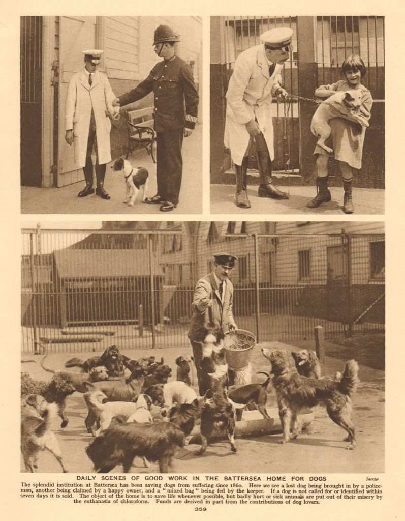 Battersea Home for dogs. Battersea Dogs Home 1926 old vintage print picture