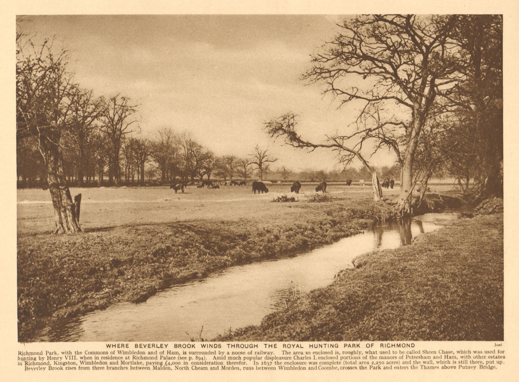 Associate Product Beverley Brook winding through the Royal hunting Park of Richmond 1926 print