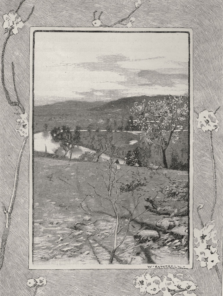 Near Albury. The Murray river basin. Australia 1890 old antique print picture