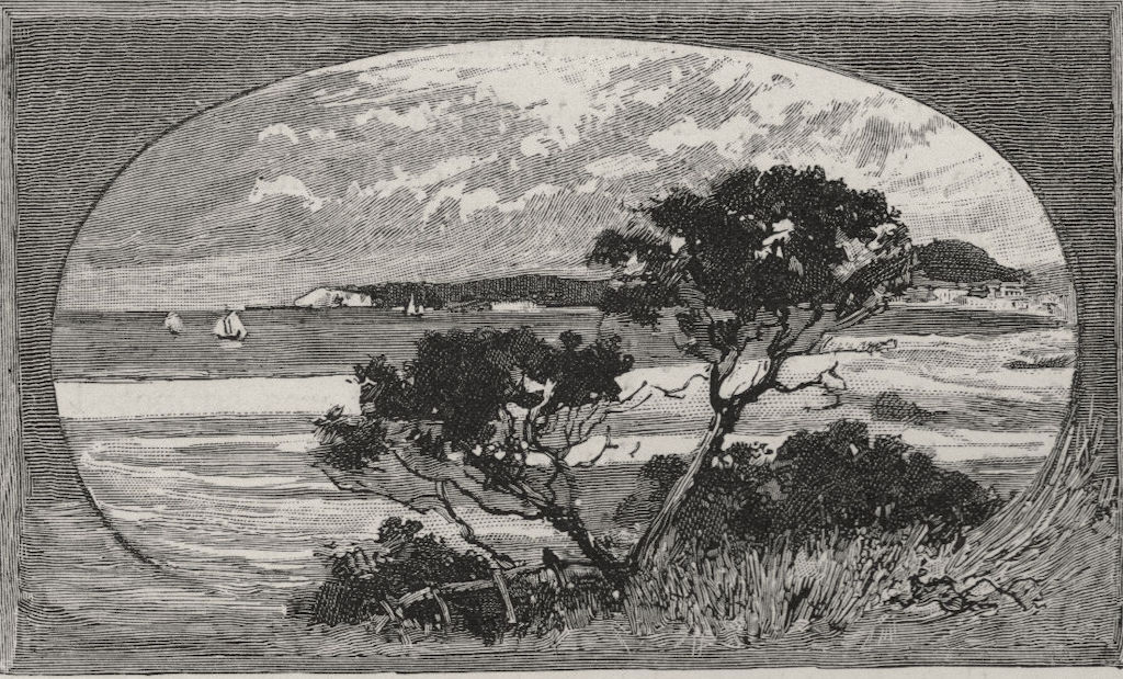 Distant View of Granite Island. The Murray river basin. Australia 1890 print