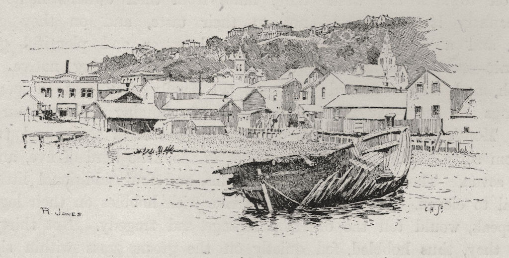 Te Aro Foreshore (before Reclamation). Wellington environs. New Zealand 1890