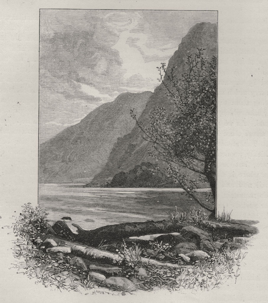 Another View of Wet Jacket Arm. The West Coast Sounds. New Zealand 1890 print