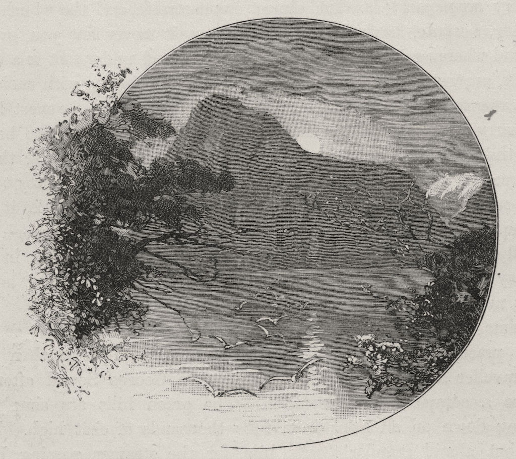 The Lion, Milford Sound. The West Coast Sounds. New Zealand 1890 old print
