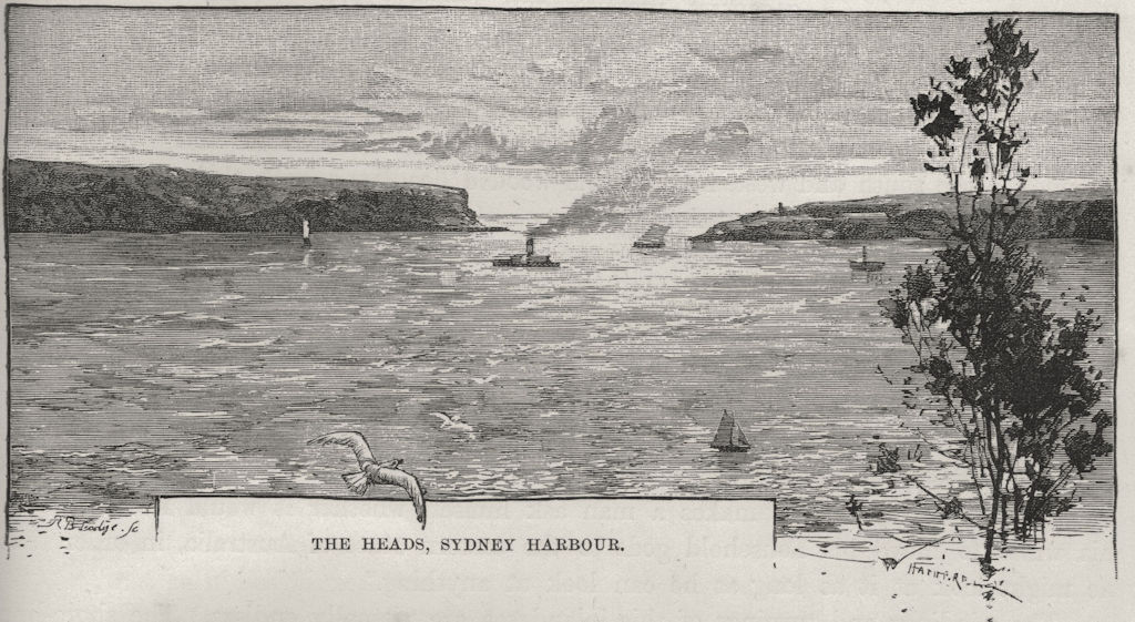 The Heads, Sydney Harbour. Sydney. Australia 1890 old antique print picture