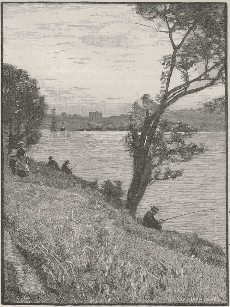 View from the Botanical Gardens. Brisbane. Australia 1890 old antique print