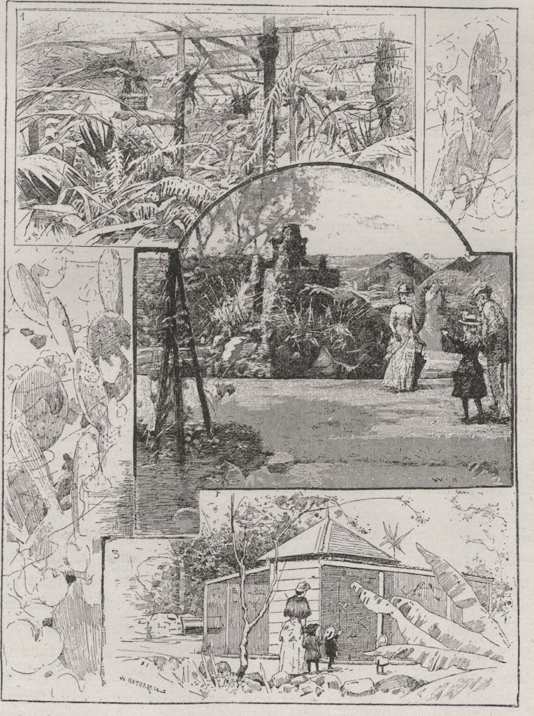 The Bush House, Acclimatisation Gardens. Fountains. Aviary. Brisbane 1890