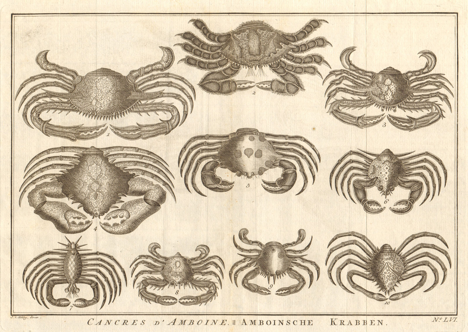 LVI - Cancres ou Crabbes. Indonesia. Crabs. Maluku Moluccas. SCHLEY 1763 print