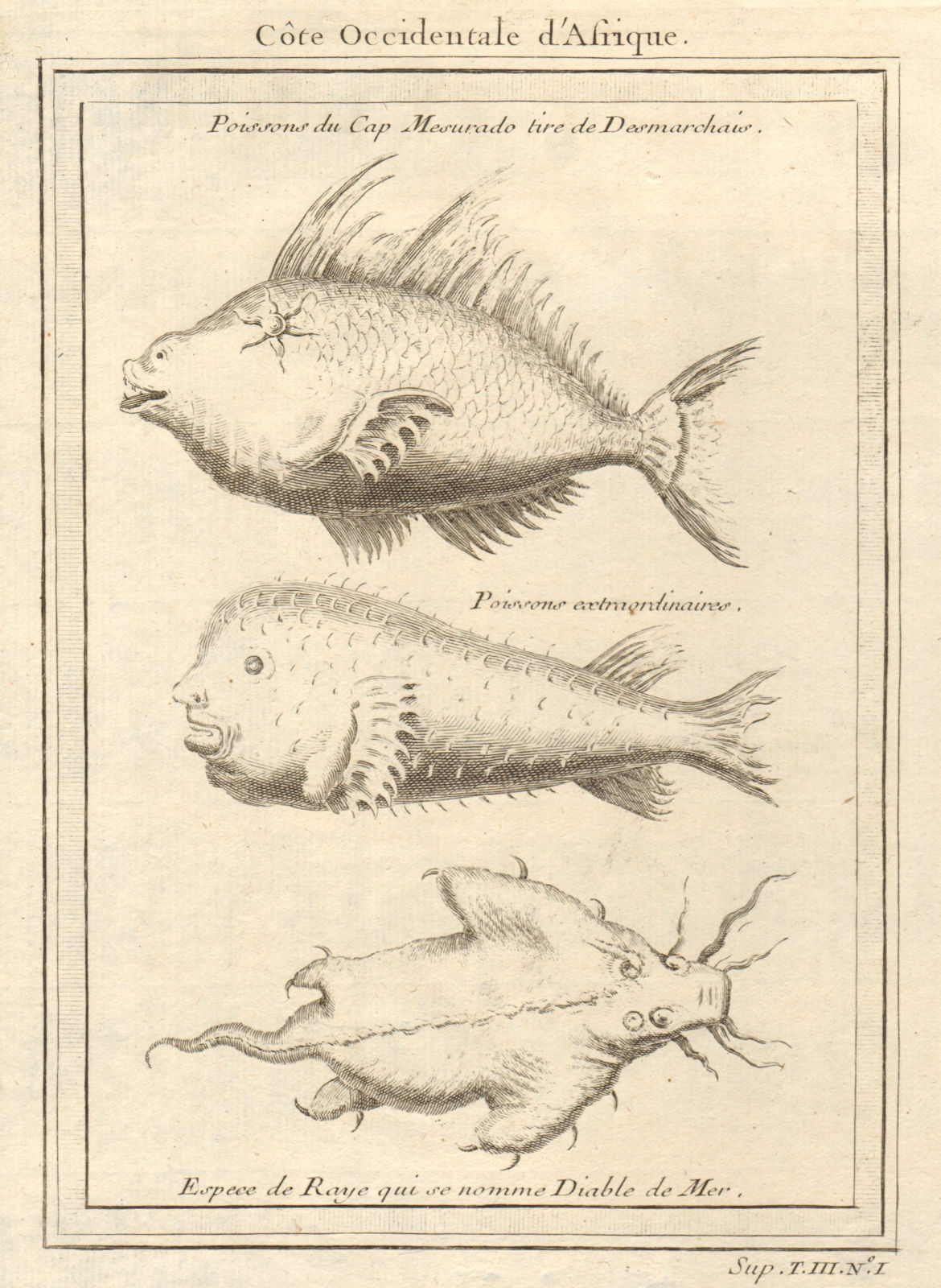 Associate Product Liberia. Cape Mesurado fish. Porcupine fish. Sea Devil ray 1747 old print