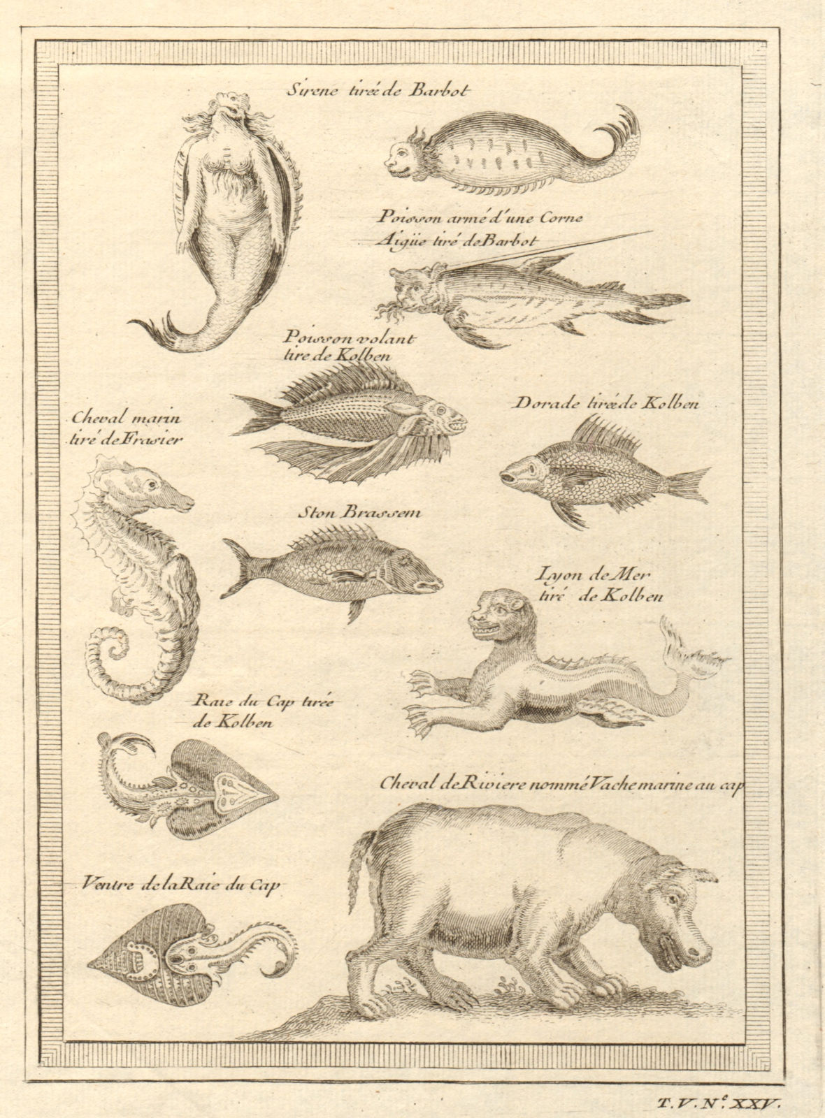 Associate Product Mermaid seahorse torpedo ray hippopotamus sea lion flying fish swordfish 1748
