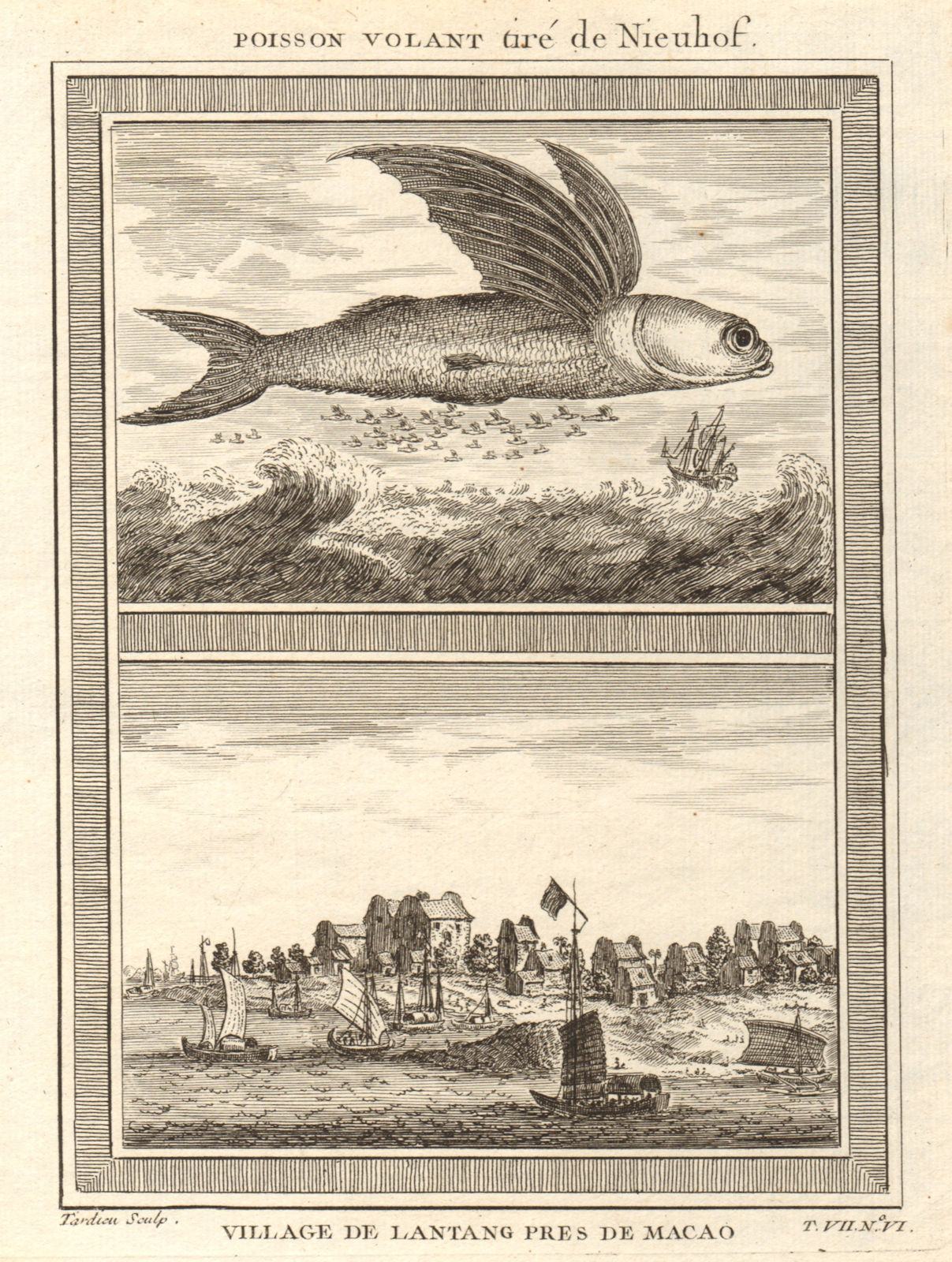 Associate Product 'Poisson volant'. Flying fish, and view of Liantang village, Macau. China 1749