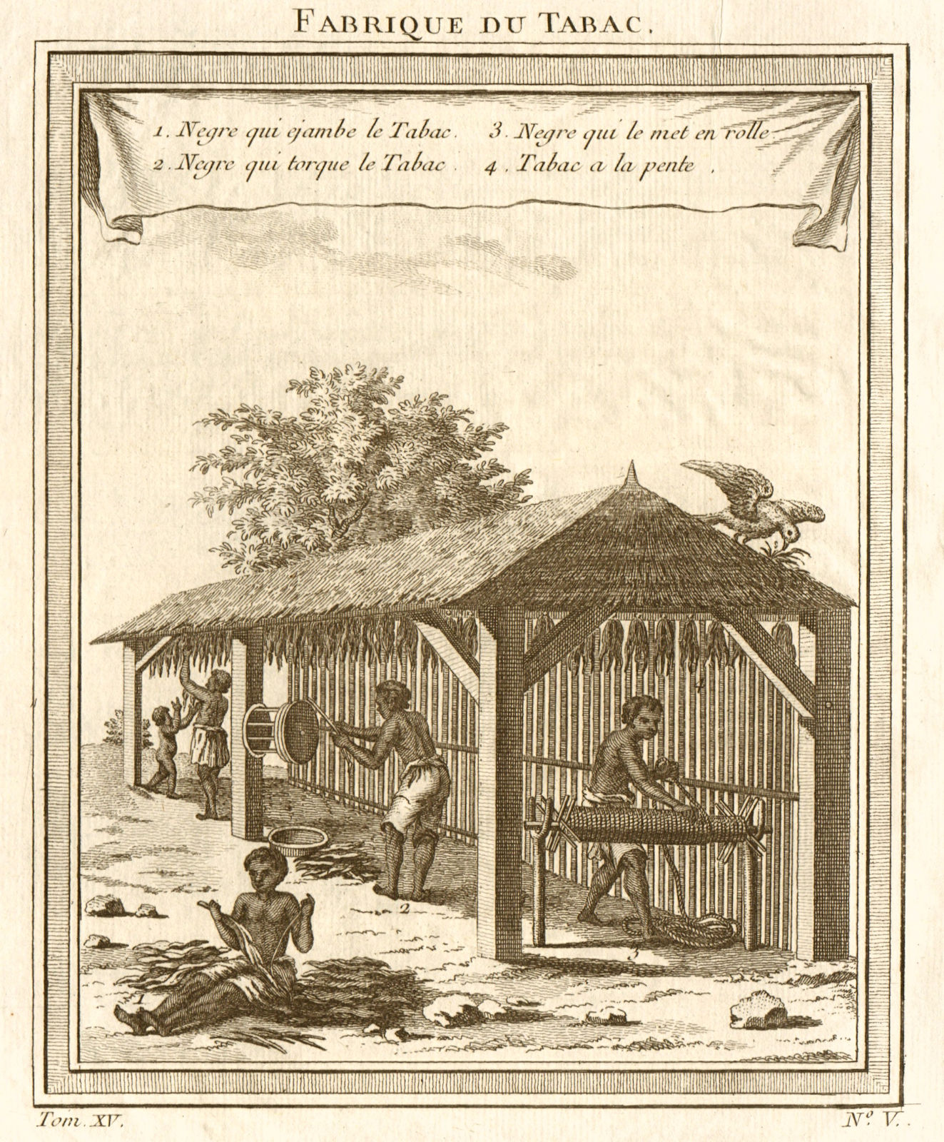 'Fabrique du Tabac'. Tobacco curing factory. Caribbean West Indies. Priming 1759
