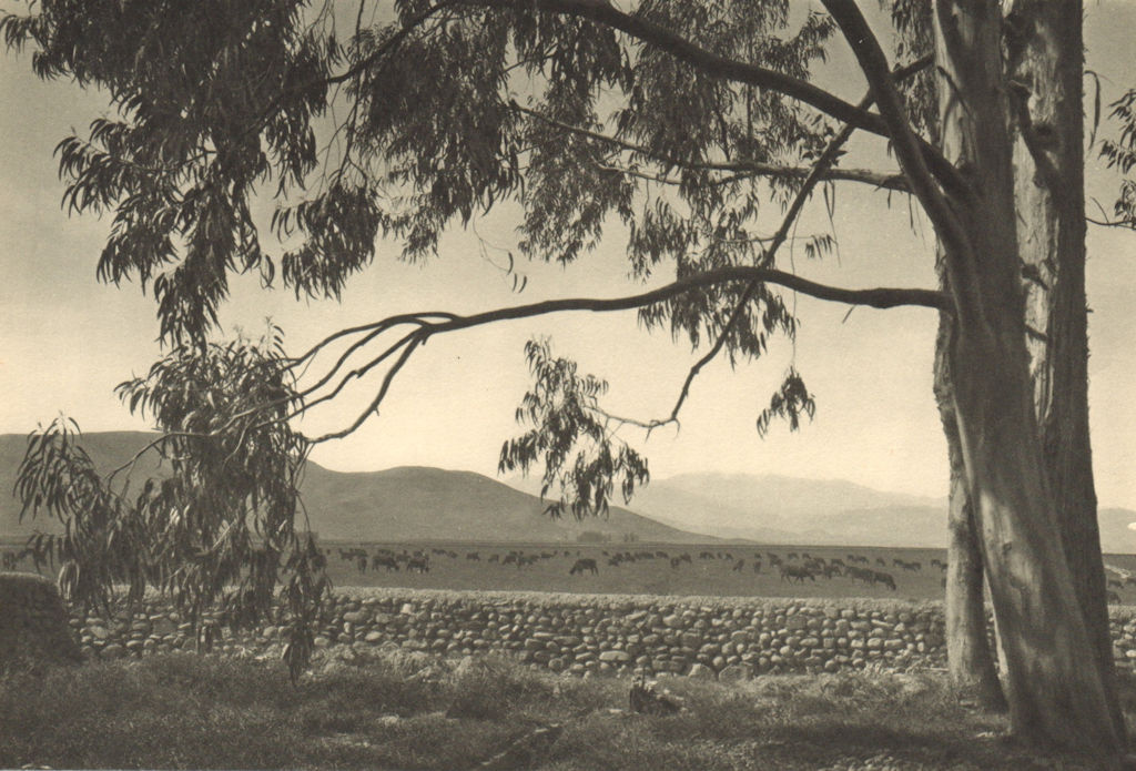 CHILE. Hacienda ''Las Ventanas'' cerca de / near Vallenar 1932 old print