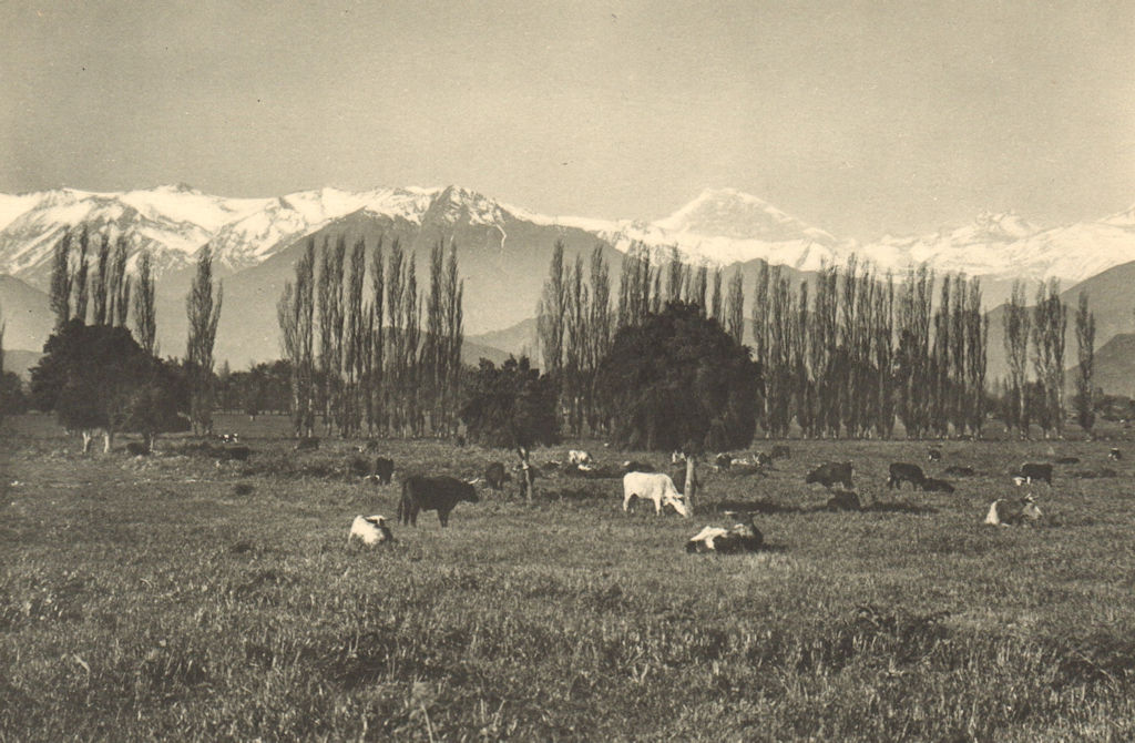 Associate Product CHILE. Los Andes. Potreros de los alrededores. Cordillera con el Aconcagua 1932
