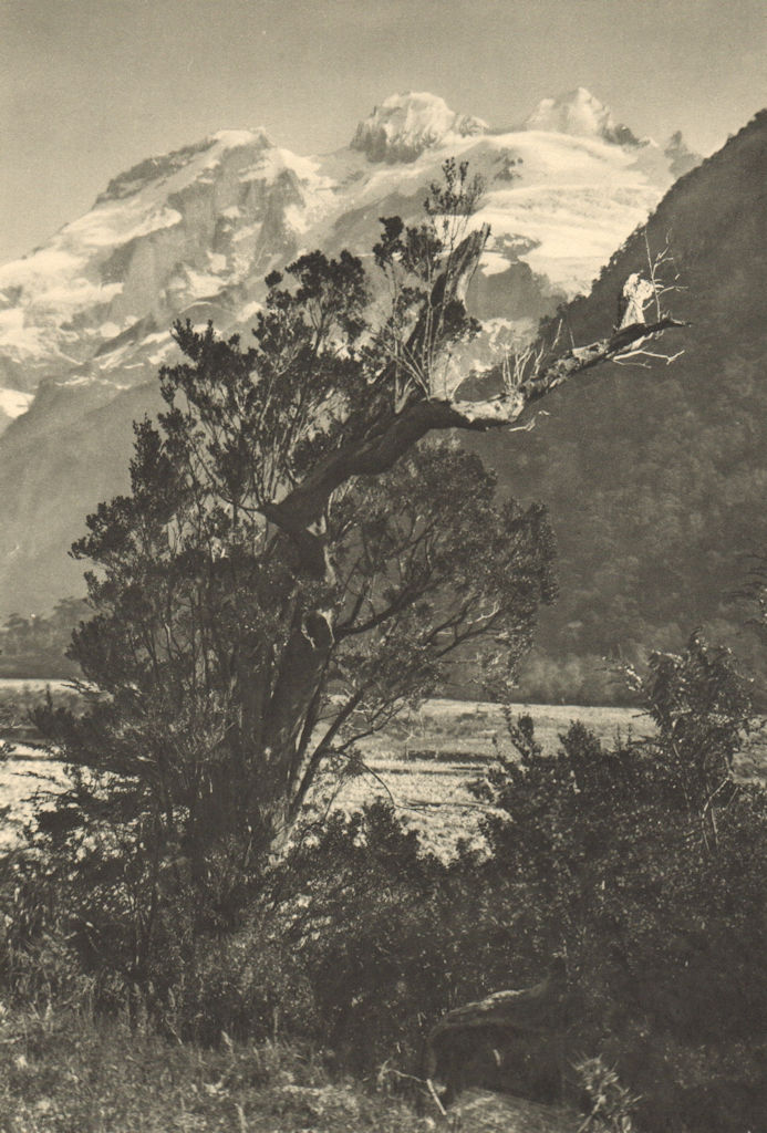 Associate Product CHILE. Cerro Tronador visto desde / seen from Casa Pangue 1932 old print