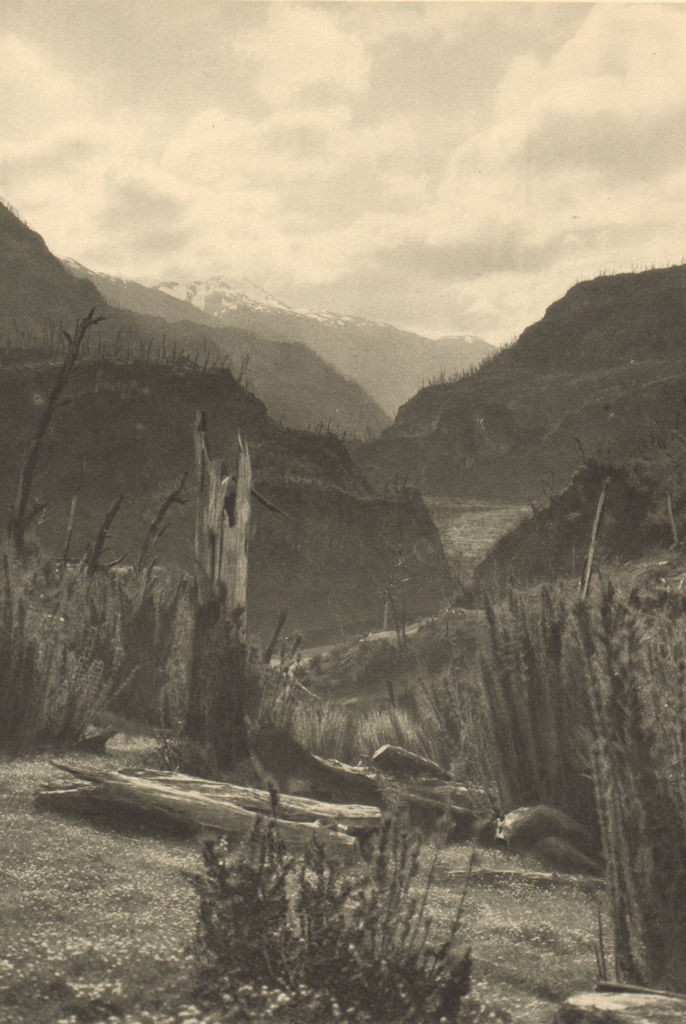 CHILEAN PATAGONIA. Valle del Rio Simson (Aysen). Simpson River valley 1932