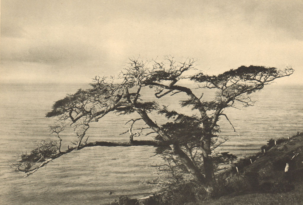 Associate Product CHILEAN PATAGONIA. Estrecho Magallanes. Este Cabo Froward. Magellan Strait 1932