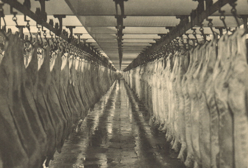 CHILEAN PATAGONIA. Frigorifico Puerto Bories. Secadero de carne. Meat dryer 1932