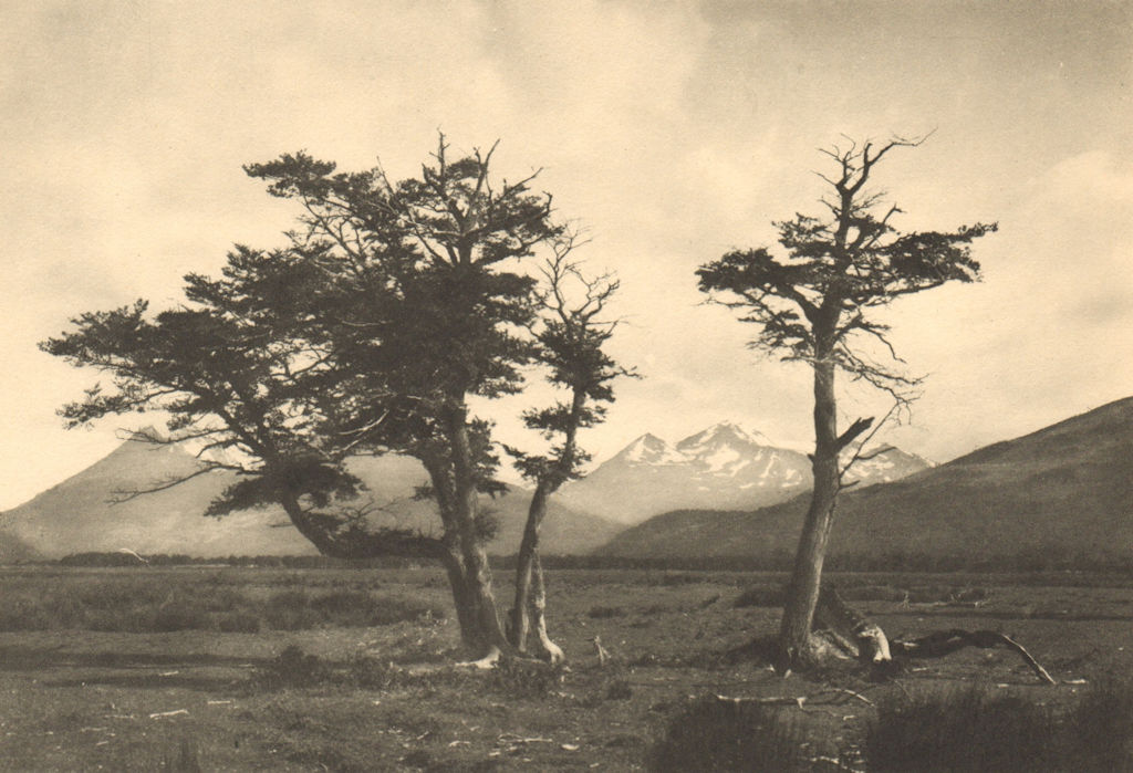 Associate Product CHILEAN PATAGONIA. Yendegaya (Tierra del Fuego). Interior de la Isla Grande 1932