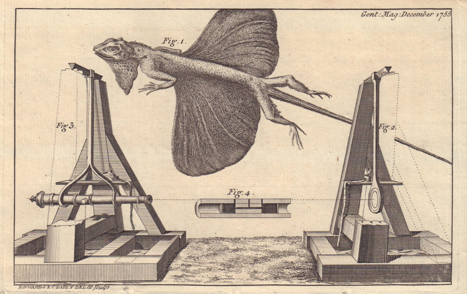 Flying lizard. Draco. A machine to ascertain the strength of Gunpowder 1755