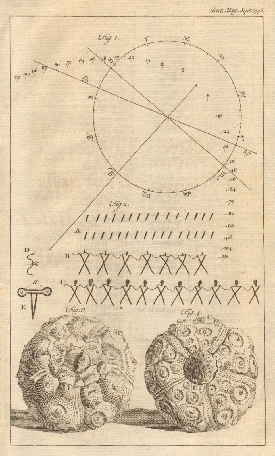 Associate Product 1757 Halley's Comet forecast track American Indian warrior kills Sea urchin 1756