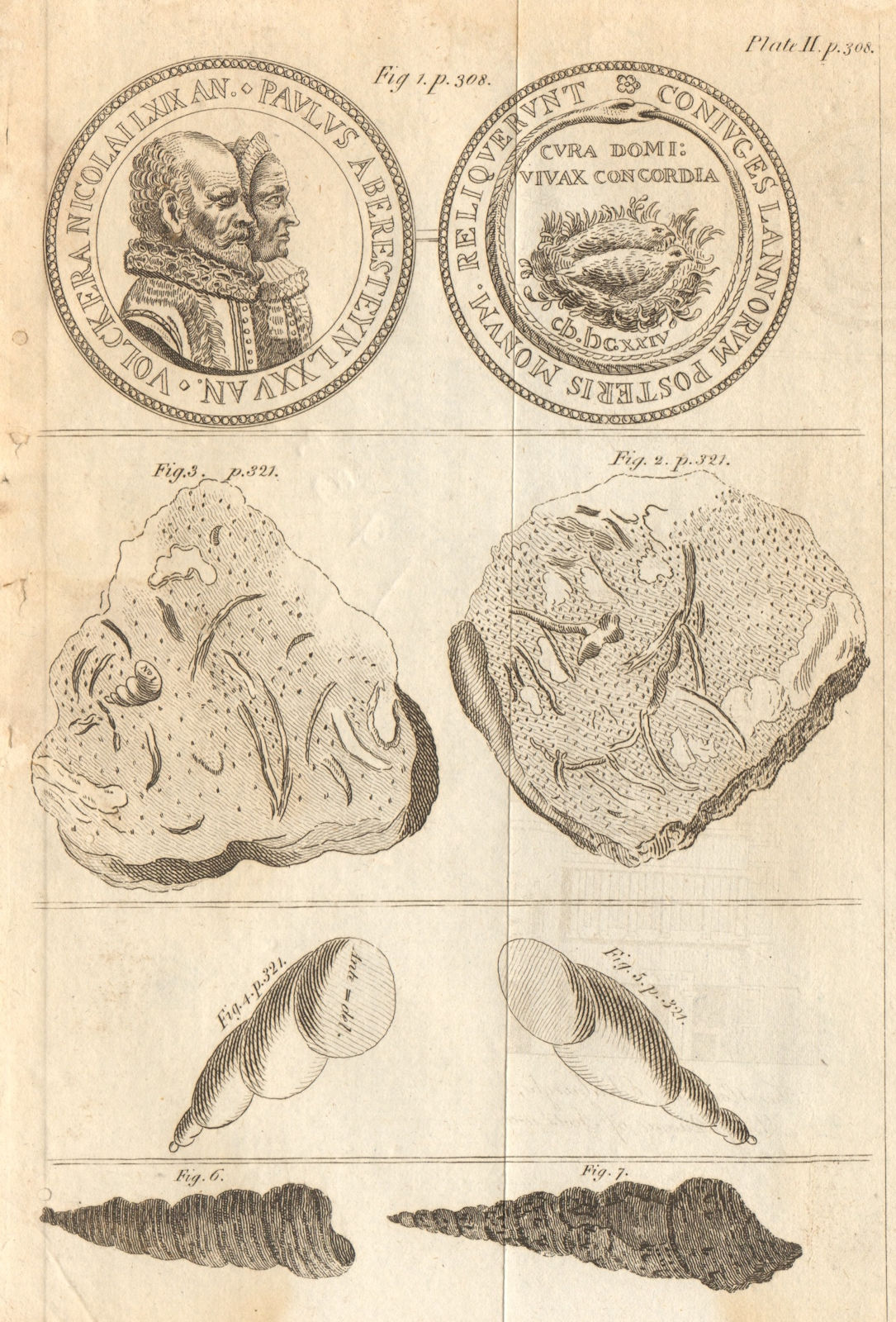 Paulus van Berestyn & wife. Fossil found in Somerset Suffolk & Kent 1788 print