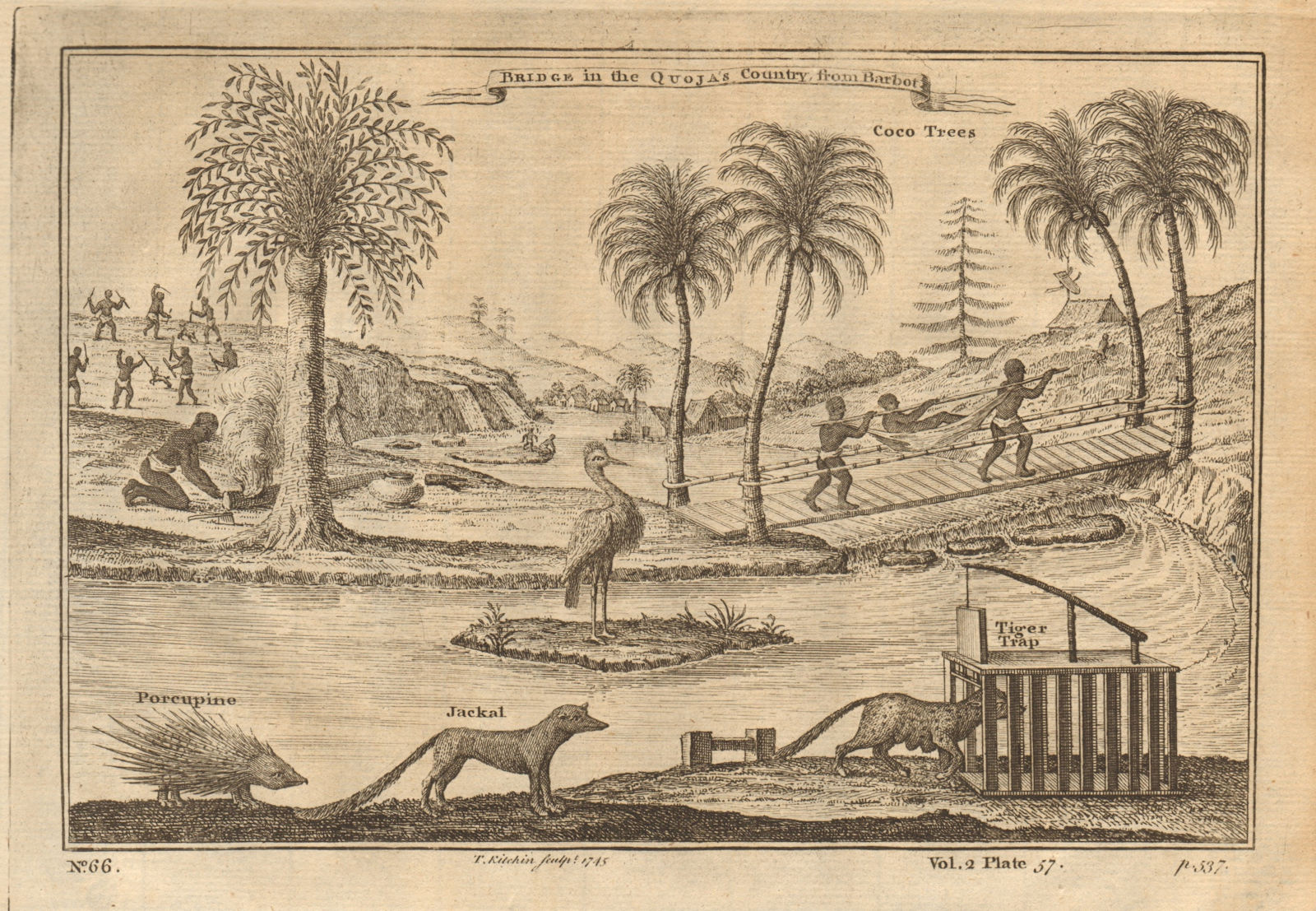 Bridge in the Quoja’s country. Kingdom of Kquoja / Koya Temne. Sierra Leone 1745