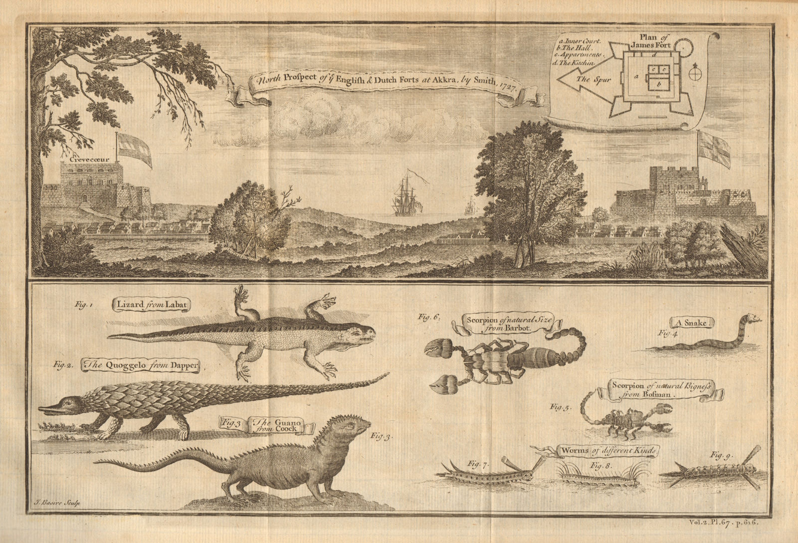 Ghana Forts James & Ussher (Crèvecouer), Accra. Lizard Quoggelo Guano 1745
