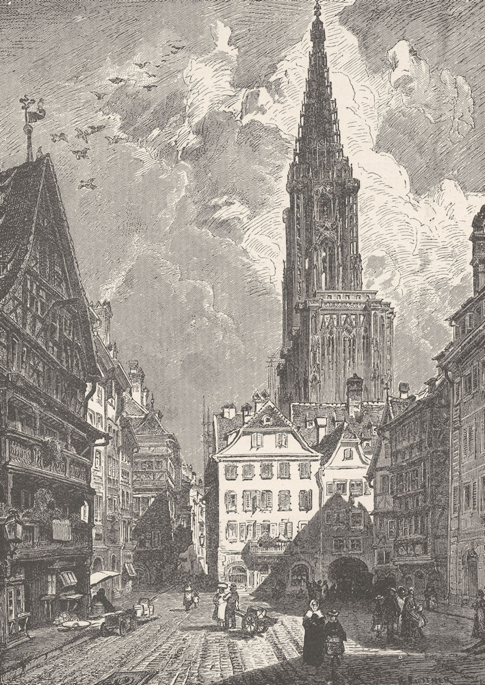 FRANCE. Pig-Market, Strasbourg 1903 old antique vintage print picture