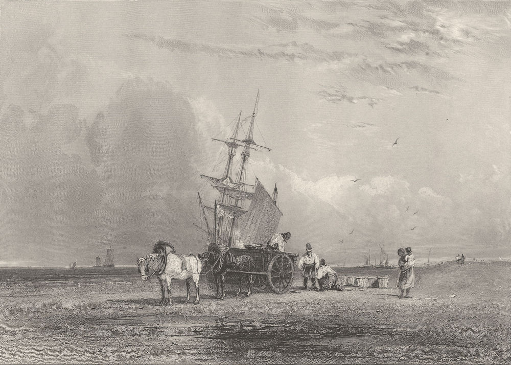 HORSES. Sea coast 1836 old antique vintage print picture