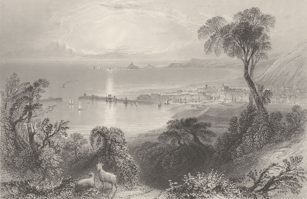 Swansea Bay, with lighthouse in the distance. Wales. BARTLETT 1842 old print