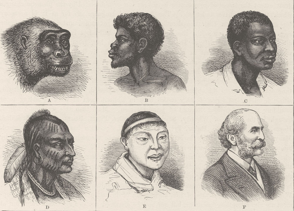 PORTRAITS. Types of heads 1890 old antique vintage print picture