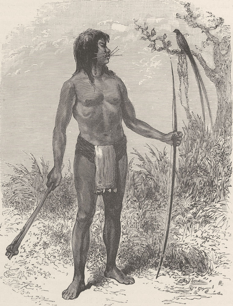 Associate Product BRAZIL. Mesaya Indian of the River Japura, Amazon tributary 1890 old print
