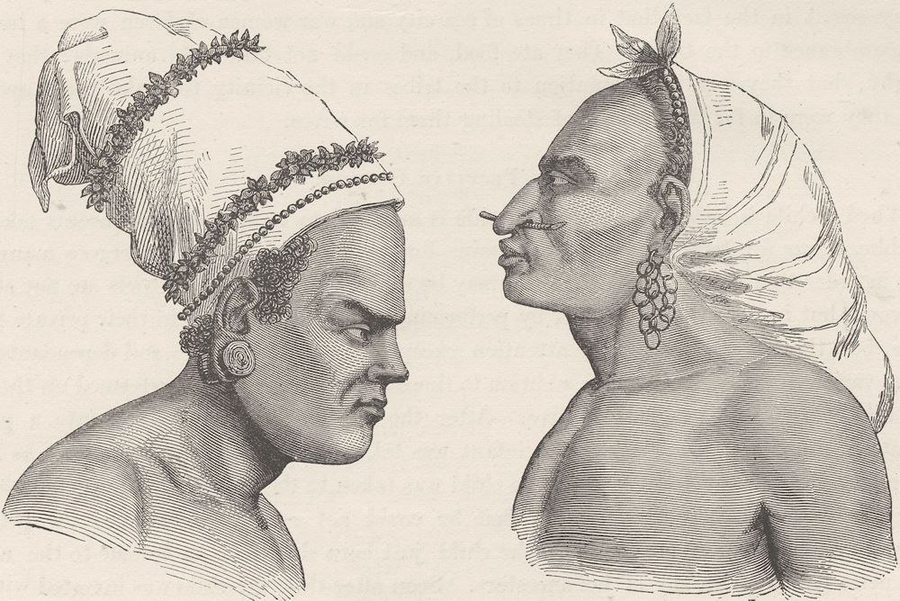 Associate Product PAPAU NEW GUINEA. Natives of Santa Cruz (Papuans) showing the Head-dress 1890