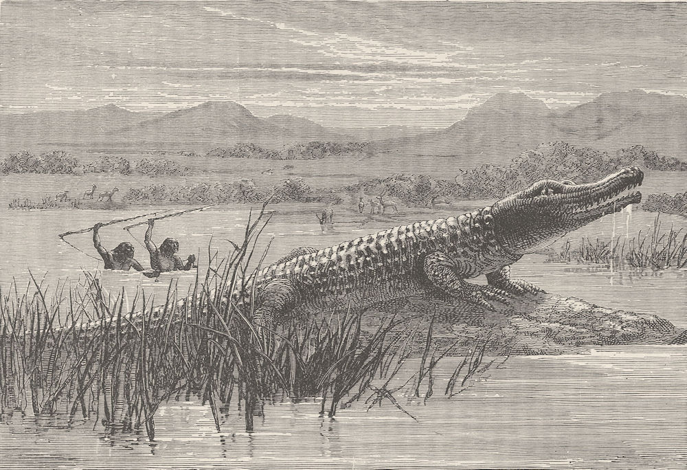 Associate Product ETHIOPIA.Hamran Arabs Crocodile-Hunting,Abyssinian Tributary of the Nile 1890