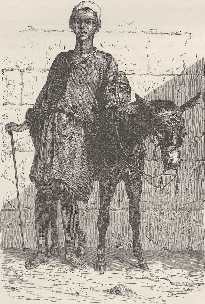 EGYPT. Fellah (Arab) donkey boy 1890 old antique vintage print picture