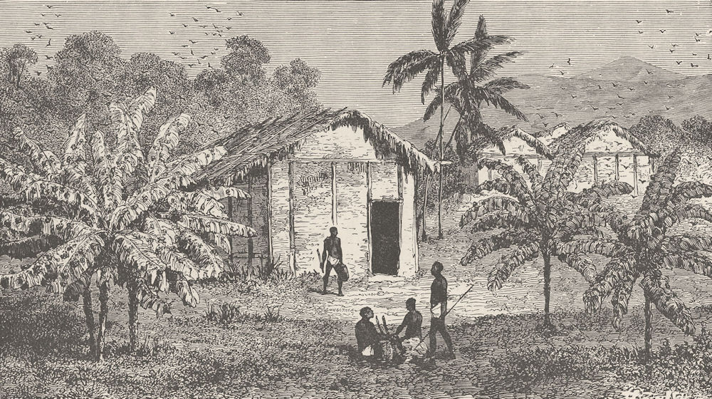 GABON. Fetish banana trees near the River Ogooue/Ogooue, Gabon 1891 old print