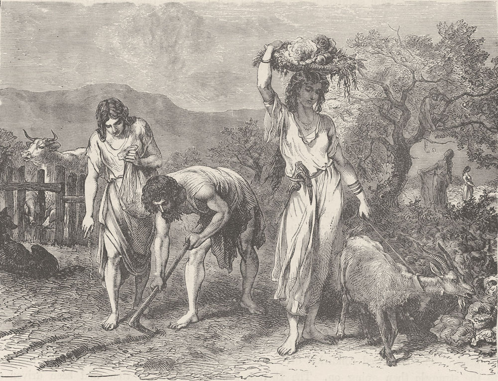 BRONZE AGE. Cultivation of gardens during the Bronze Age 1893 old print