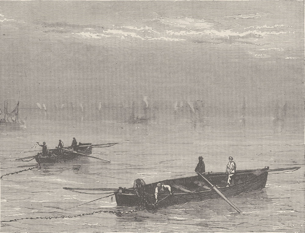 FRANCE. Sardine fishing 1894 old antique vintage print picture