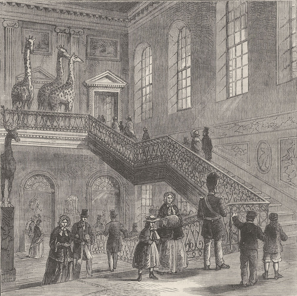 THE BRITISH MUSEUM. Montagu House, grand staircase. London c1880 old print