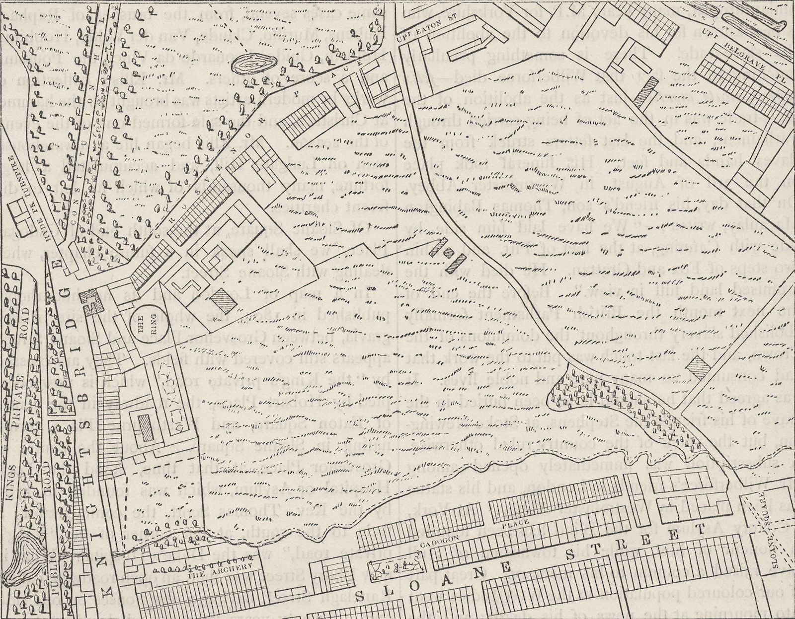 BELGRAVIA. Map of Belgravia, 1814. London c1880 old antique plan chart