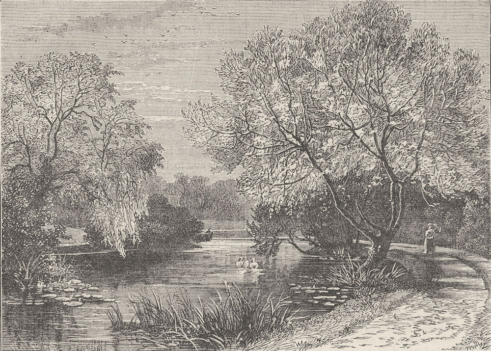THE REGENT’S PARK. The botanical Gardens, Regent's Park. London c1880 print