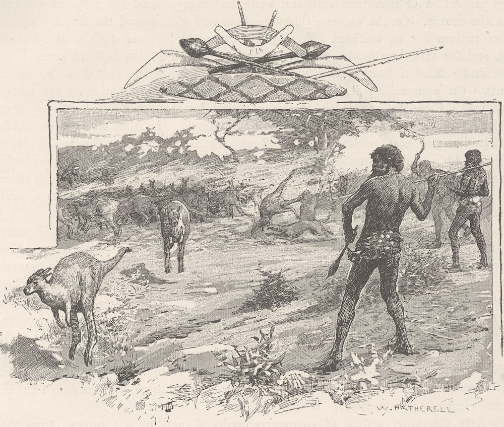 AUSTRALIA. Aborigines. Natives kangaroo hunting 1890 old antique print picture
