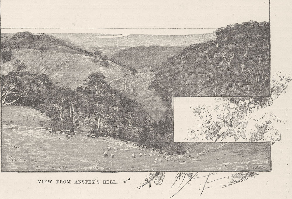 AUSTRALIA. Mount Lofty. View from Anstey's hill 1890 old antique print picture