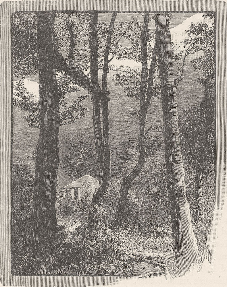 NEW ZEALAND. Lake Wakatipu. Scenery 1890 old antique vintage print picture